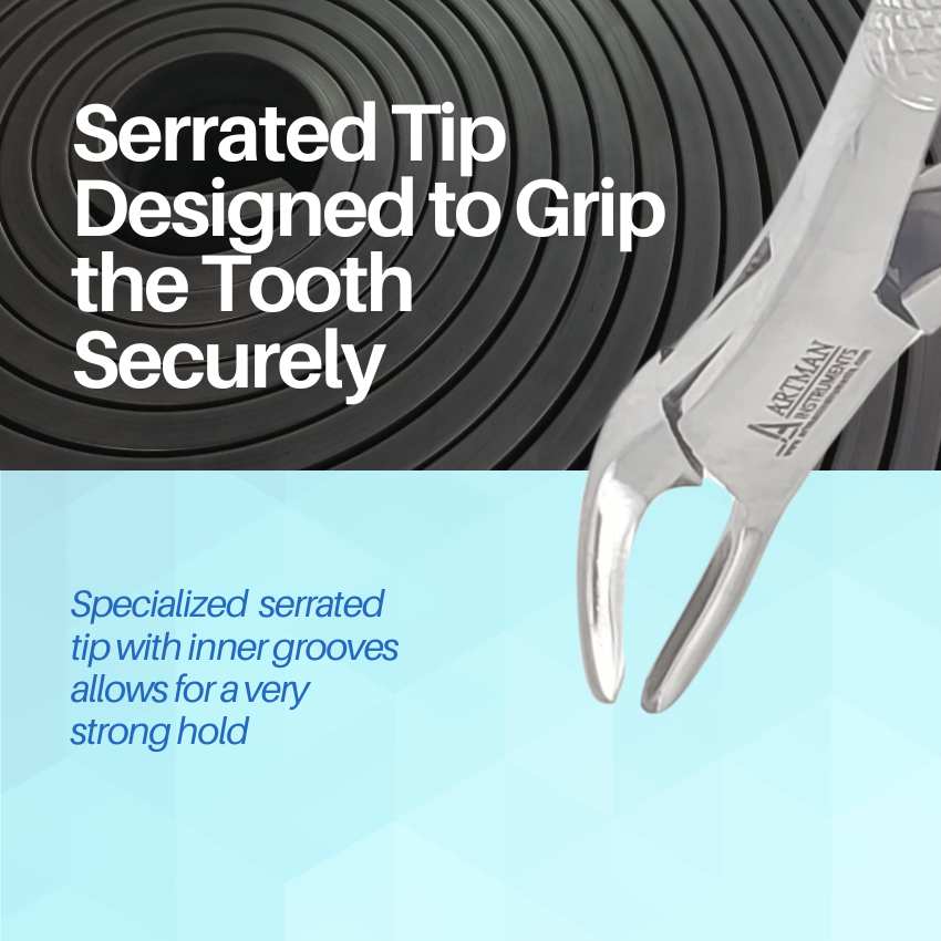 CynaMed USA Dental Tooth Extracting Forceps #151 – Serrated Jaw Lower Molar Instrument