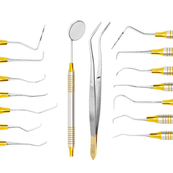Dental Hygienist Instruments Tool Kit | Professional Cleaning Set ...