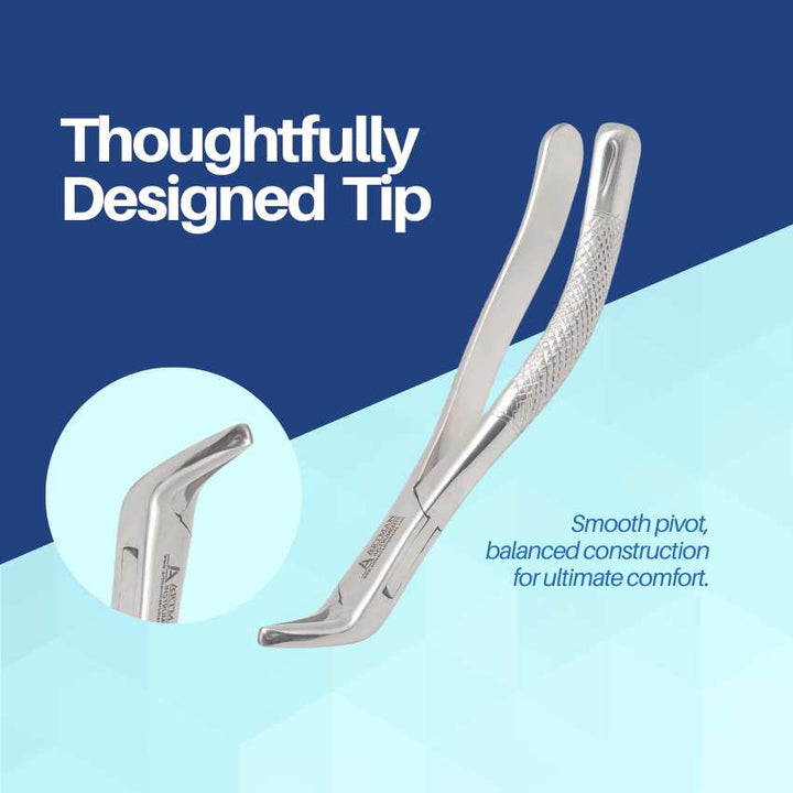 Dental Extraction Forceps #151 - O.R. Grade Autoclavable Surgical Stainless Steel Tooth Extracting Tool