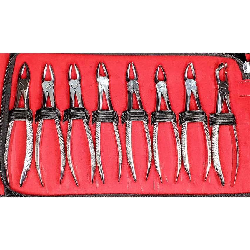Surginstruments #13 Extracting Forceps – Dental Surgical Instrument, German Grade Stainless