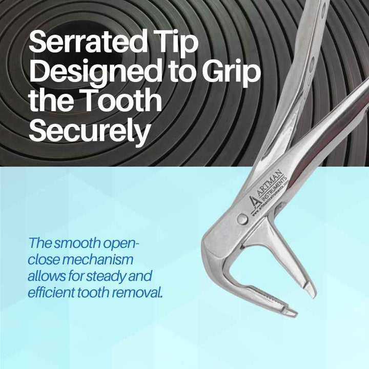 P-2 Stainless Steel Dental Atraumatic Extraction Forceps – Artman ...